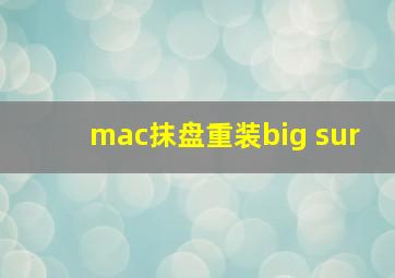 mac抹盘重装big sur